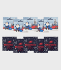 SILVERSTONE 10 PACK CHRISTMAS CARDS