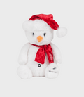 SILVERSTONE SNOWMAN TEDDY BEAR