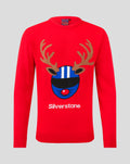 SILVERSTONE MENS REINDEER JUMPER