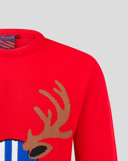 SILVERSTONE MENS REINDEER JUMPER