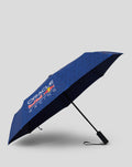 SURF THE WEB REDBULL RACING