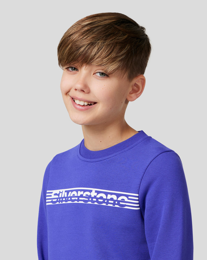 Close front view of royal blue Core Sweatshirt with bold white logo across the chest