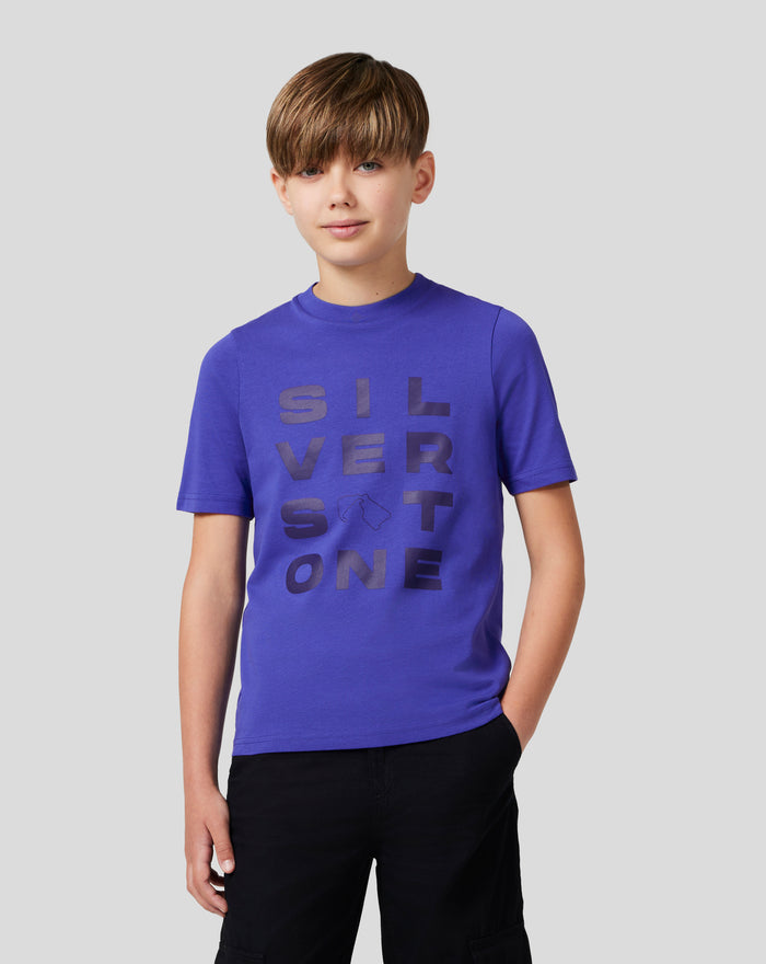 Front view of a young boy wearing a royal blue Junior Silverstone Core Graphic T-Shirt with a silicone chest graphic