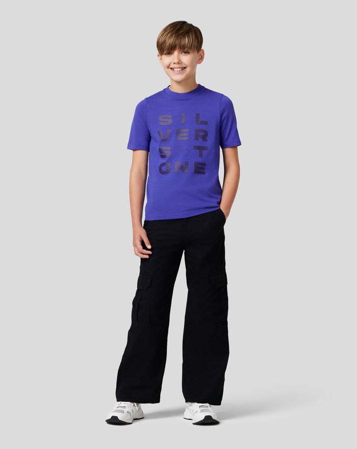 Young boy in royal blue Junior Silverstone Core Graphic T Shirt with chest graphic and center back print