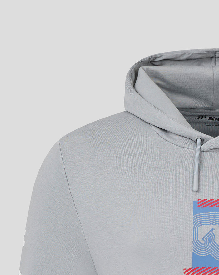 Close-up of chest graphic on the Weathervane hoodie showing a blue panel with red diagonal stripes and a hood edge visible