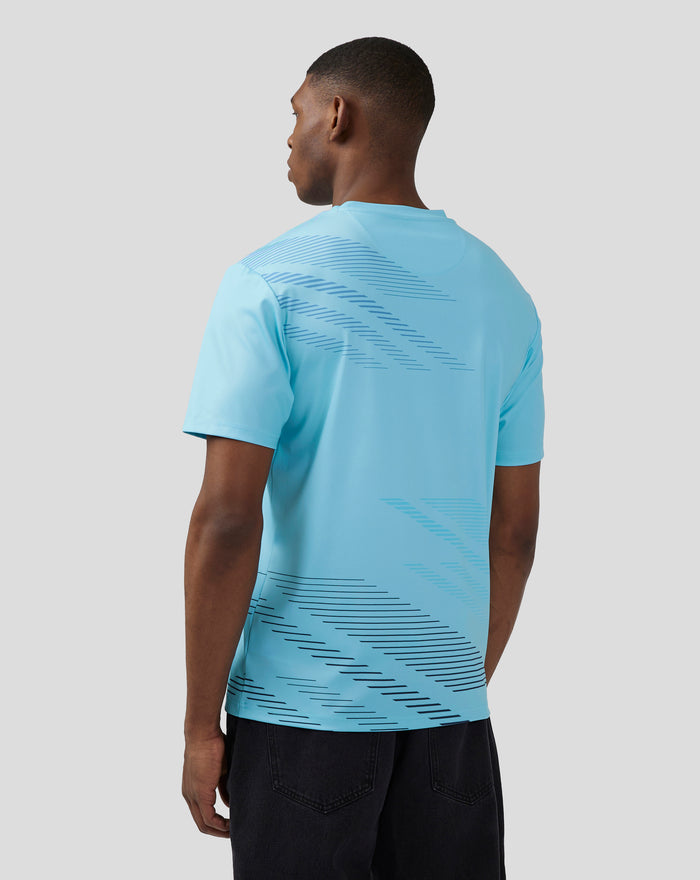 Back view of a person wearing a Cabana Blue short sleeve T shirt with diagonal stripe graphic across the back